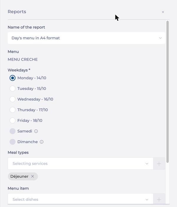 Reports panel with the Day's menu in A4 format report